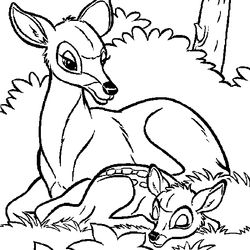 Bambi #36040