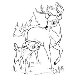 Bambi #36063