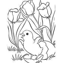 Chicken Little #36484