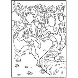 Tarzan #39017