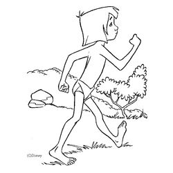 El libro de la selva #39364