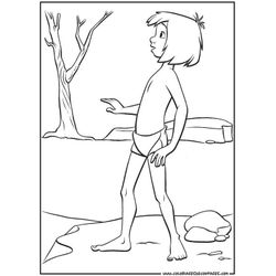 El libro de la selva #39436