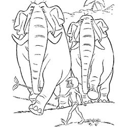 El libro de la selva #39443