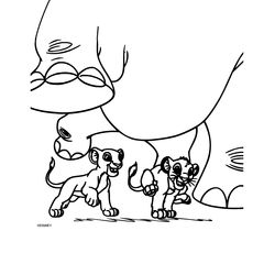 El rey león #39634