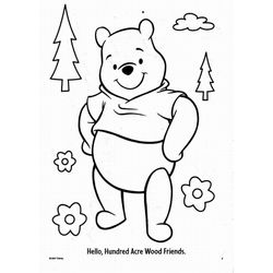 Winnie the Pooh #40100