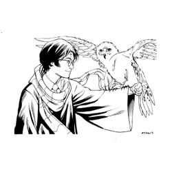 Harry Potter #33891