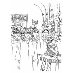 Harry Potter #33895