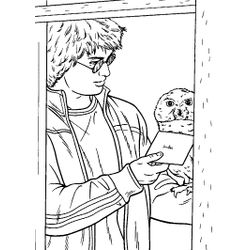 Harry Potter #33905