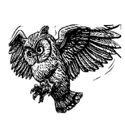 Harry Potter #33924