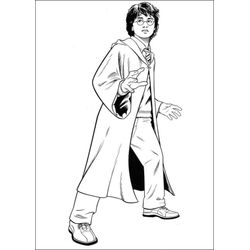 Harry Potter #33925