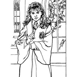 Harry Potter #33926