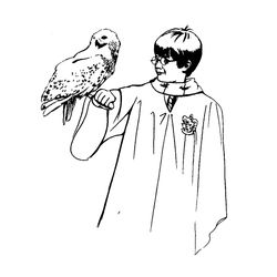 Harry Potter #33927