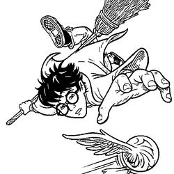 Harry Potter #33938