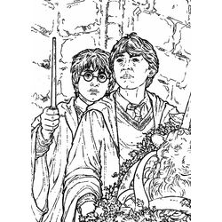 Harry Potter #33952