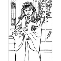 Harry Potter #33959