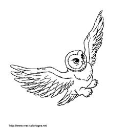 Harry Potter #33969