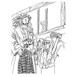 Harry Potter #33980
