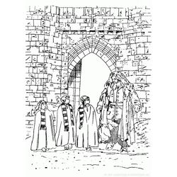Harry Potter #33984