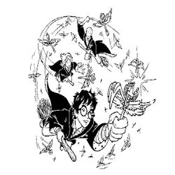 Harry Potter #33990