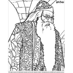 Harry Potter #33991