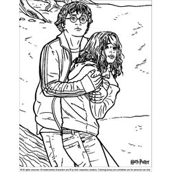 Harry Potter #33999