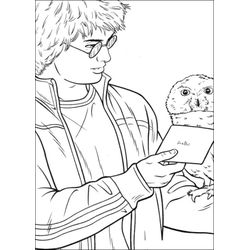 Harry Potter #34001