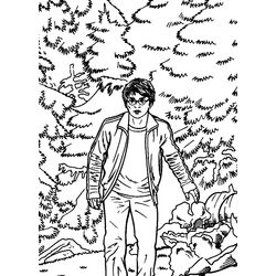 Harry Potter #34003