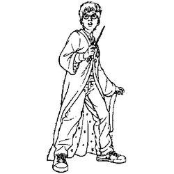 Harry Potter #34030