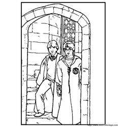 Harry Potter #34031