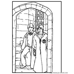 Harry Potter #34039