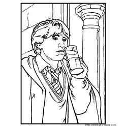Harry Potter #34065
