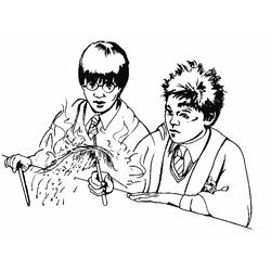 Harry Potter #34070