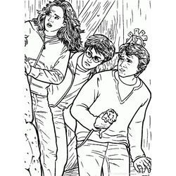Harry Potter #33823