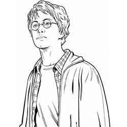 Harry Potter #33825