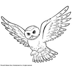 Harry Potter #33833