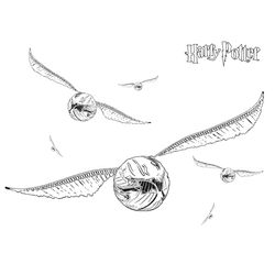 Harry Potter #33837