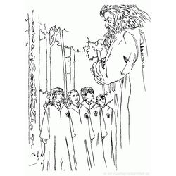Harry Potter #33839