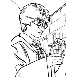 Harry Potter #33840