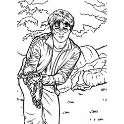Harry Potter #33843