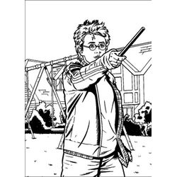 Harry Potter #33844