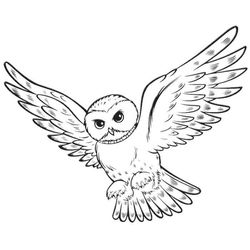 Harry Potter #33851