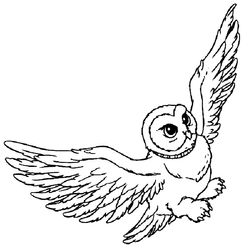 Harry Potter #33855