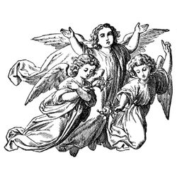 Angel #40735