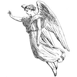 Angel #40547