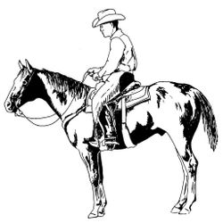 Cowboy #41268