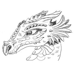 Dragón #41506