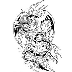 Dragón #41510
