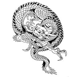 Dragón #41551