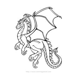 Dragón #41557
