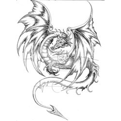 Dragón #41576